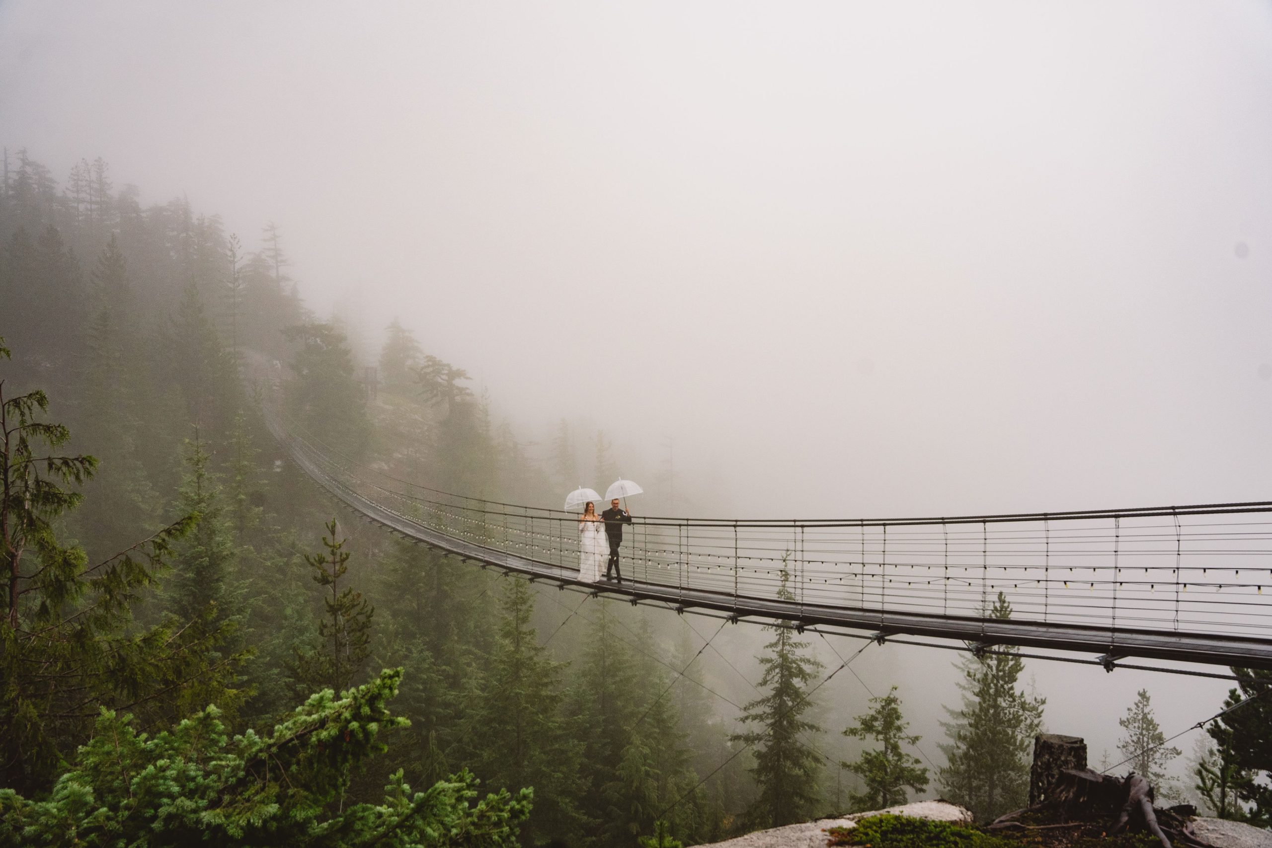 Welcome to my new blog